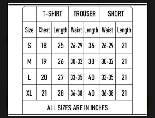 2 Pcs Men's Jersey Printed T-Shirt & Shorts Tracksuit